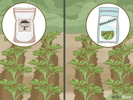 Image titled Improve Soil Step 8