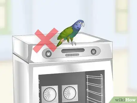 Image titled Set Up a Pionus Parrot Habitat Step 19