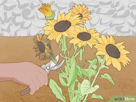 Image titled Maintain a Garden Step 14