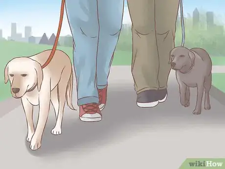Image titled Acclimate Two Dogs Step 4