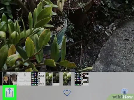 Image titled Set a Wallpaper on Google Photos on iPhone or iPad Step 8