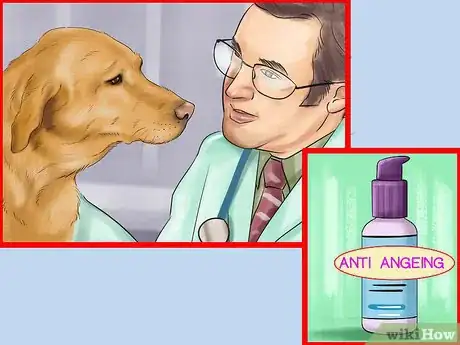 Image titled Know if Your Dog Needs a Diet Change Step 5