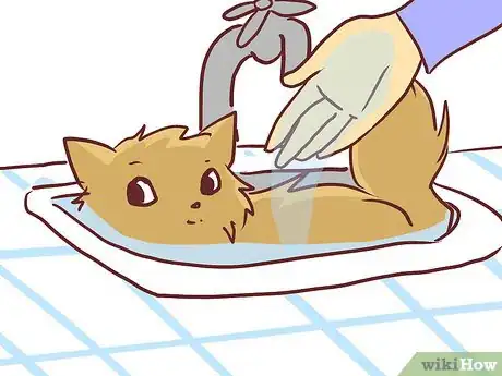 Image titled Bathe a British Shorthair Step 10
