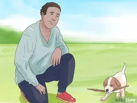 Image titled Socialize Your Dog Step 3