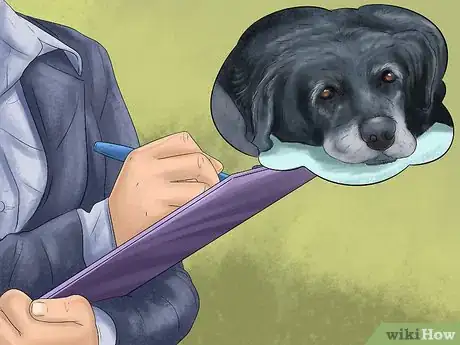 Image titled Prepare for Your Dog's Annual Vet Exam Step 15