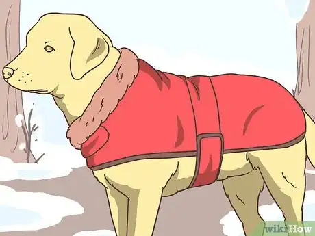 Image titled Choose Gifts for Pet Lovers Step 14