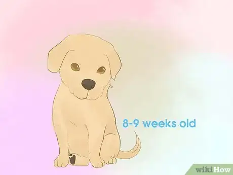 Image titled Buy a Purebred Puppy Step 11