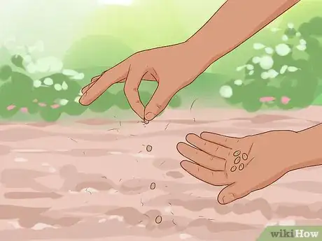 Image titled Grow Your Own Bouquet Step 10