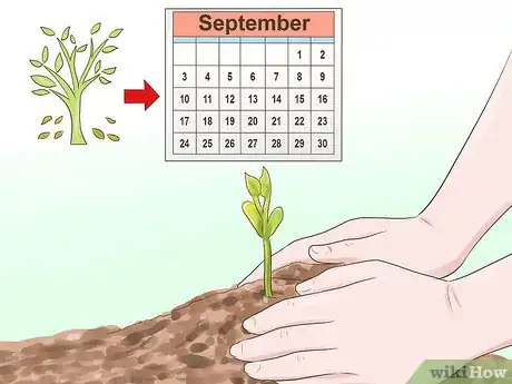 Image titled Garden in a Mediterranean Climate Step 5