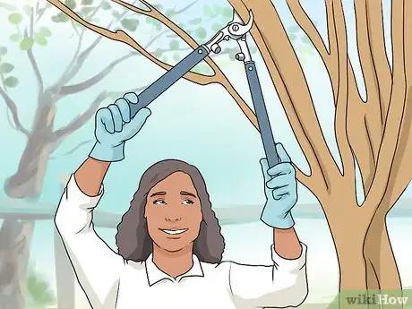 Image titled Prepare Your Yard for Summer Step 6