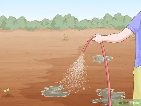 Image titled Grow Giant Vegetables Step 12