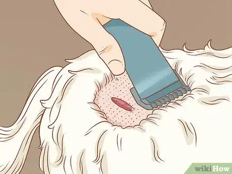 Image titled Remove a Dog’s Skin Tags at Home Step 2