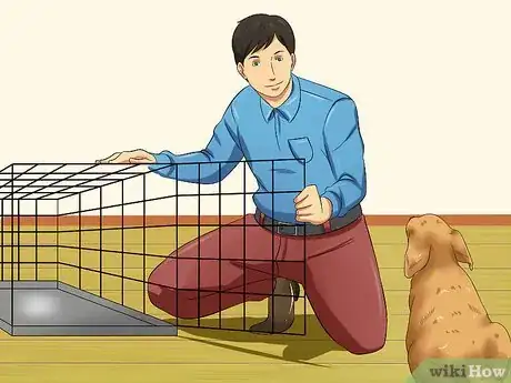 Image titled Love Your Puppy Step 1