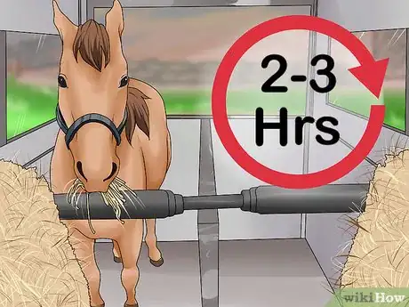 Image titled Take Your Horse on a Long Trailer Ride Step 10
