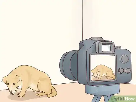 Image titled Recognize Signs of Anxiety in Dogs Step 25