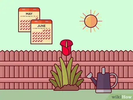 Image titled Prune Tulips Step 1