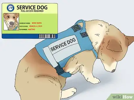 Image titled Get a PTSD Service Dog Step 15