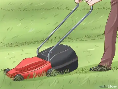 Image titled Protect Your Pets from Summertime Pests Step 10