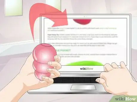 Image titled Buy Pet Training Supplies Step 14