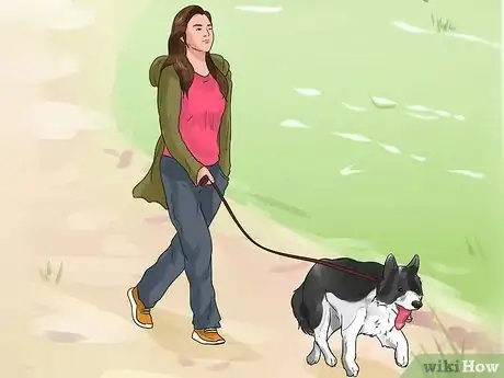 Image titled Have Fun Giving Your Dog a Flea Bath Step 3