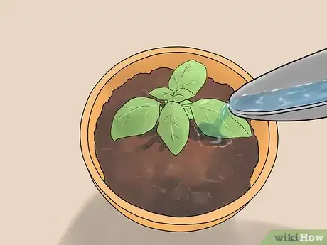 Image titled Transplant Herb Seedlings Step 7