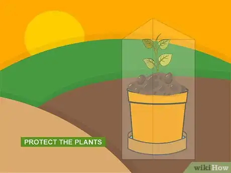 Image titled Plant Bulbs in Pots Step 15