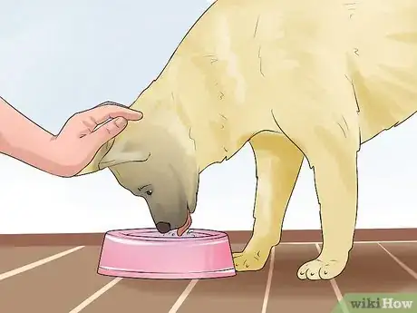 Image titled Get a Dog to Stop Drinking from the Toilet Step 4
