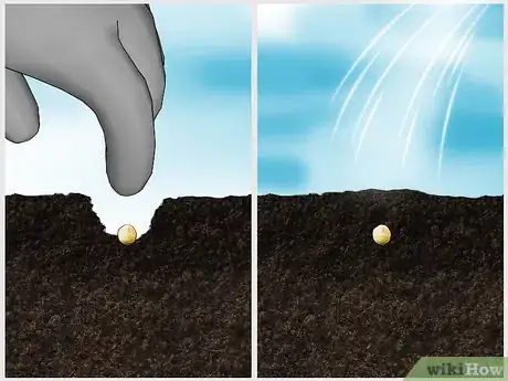 Image titled Grow Beans and Peas Step 9