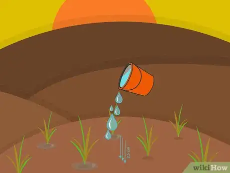 Image titled Plant Narcissus Bulbs Step 14