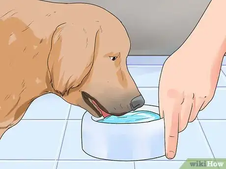 Image titled Get Your Golden Retriever to Shed Less Step 11