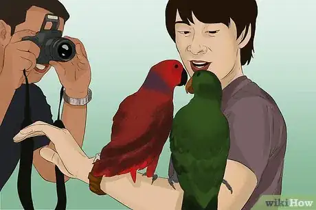 Image titled Photograph Animals Step 11