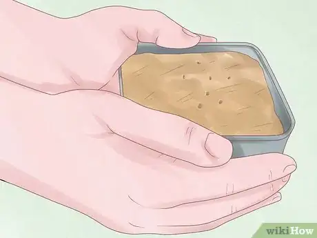 Image titled Germinate Seeds Guaranteed Without Soil or Medium for Garden or Hydroponics Step 8