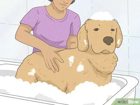 Image titled Relieve Allergies Naturally Step 17