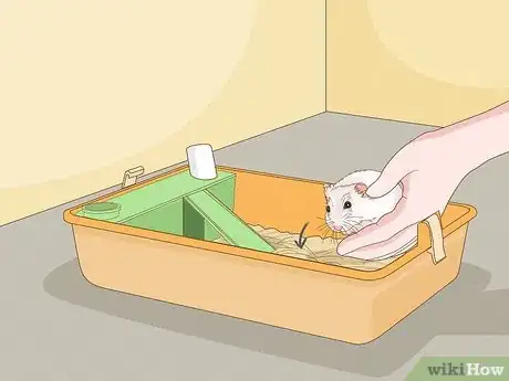 Image titled Carry a Hamster Step 8