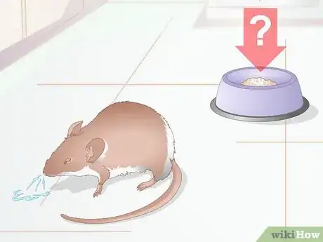 Image titled Stop Your Pet Mouse from Sneezing Step 2