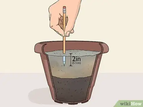 Image titled Take Softwood Cuttings Step 8