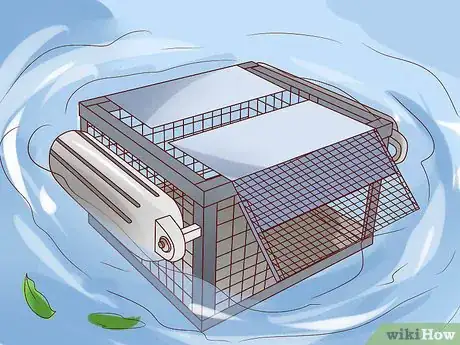 Image titled Catch Water Turtles Step 6
