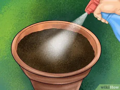 Image titled Give Cat Grass to a Cat Step 9