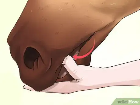 Image titled Bridle a Grumpy Horse Step 4