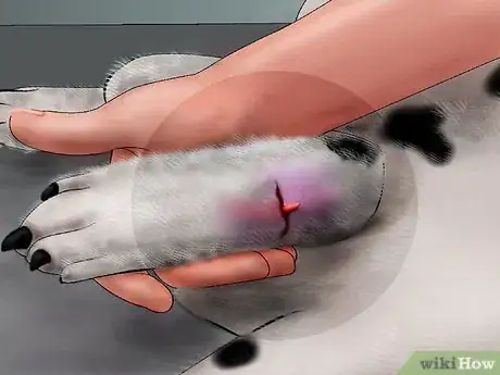 Image titled Splint a Dog's Leg Step 4