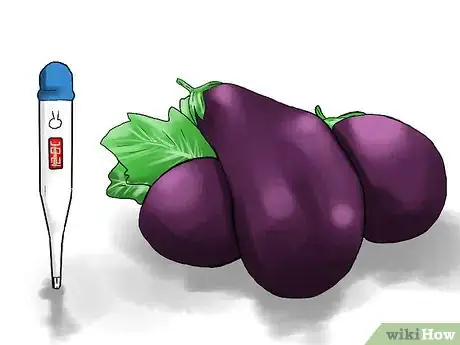 Image titled Grow Eggplants in Pots Step 7