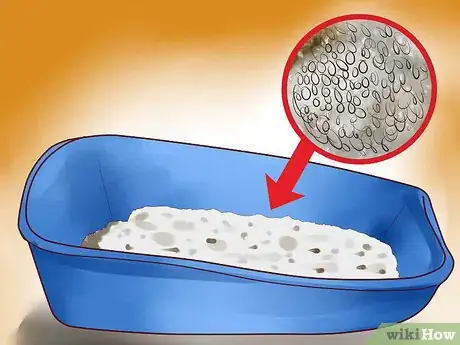 Image titled Choose a Kitty Litter Step 1