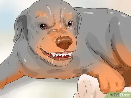 Image titled Tell if a Dog Is Getting Food Aggression Step 4
