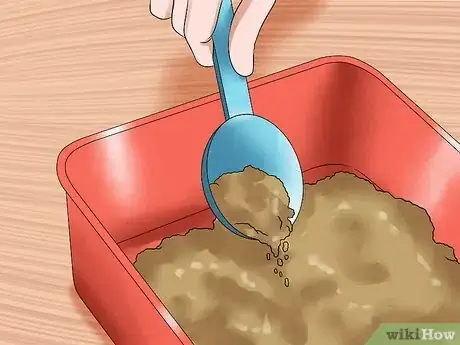 Image titled Have Cats Without Being a Cat Lady Step 4