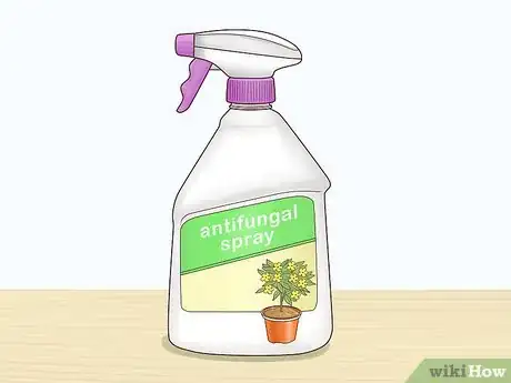 Image titled Grow Carrots in Pots Step 15