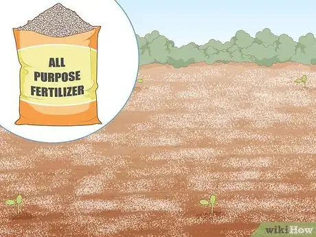 Image titled Grow Giant Vegetables Step 13