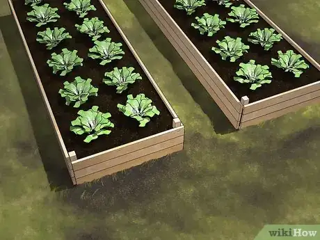 Image titled Extend Your Gardening Season Step 3