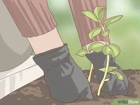 Image titled Make a Salad More Satisfying Step 15