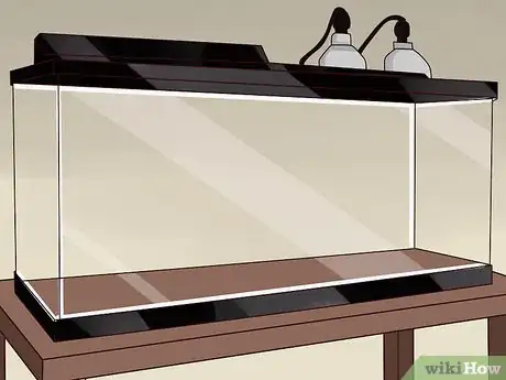 Image titled Care for a Leopard Gecko Step 1