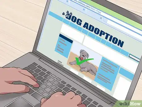 Image titled Choose a Dog Together As a Married Couple Step 6